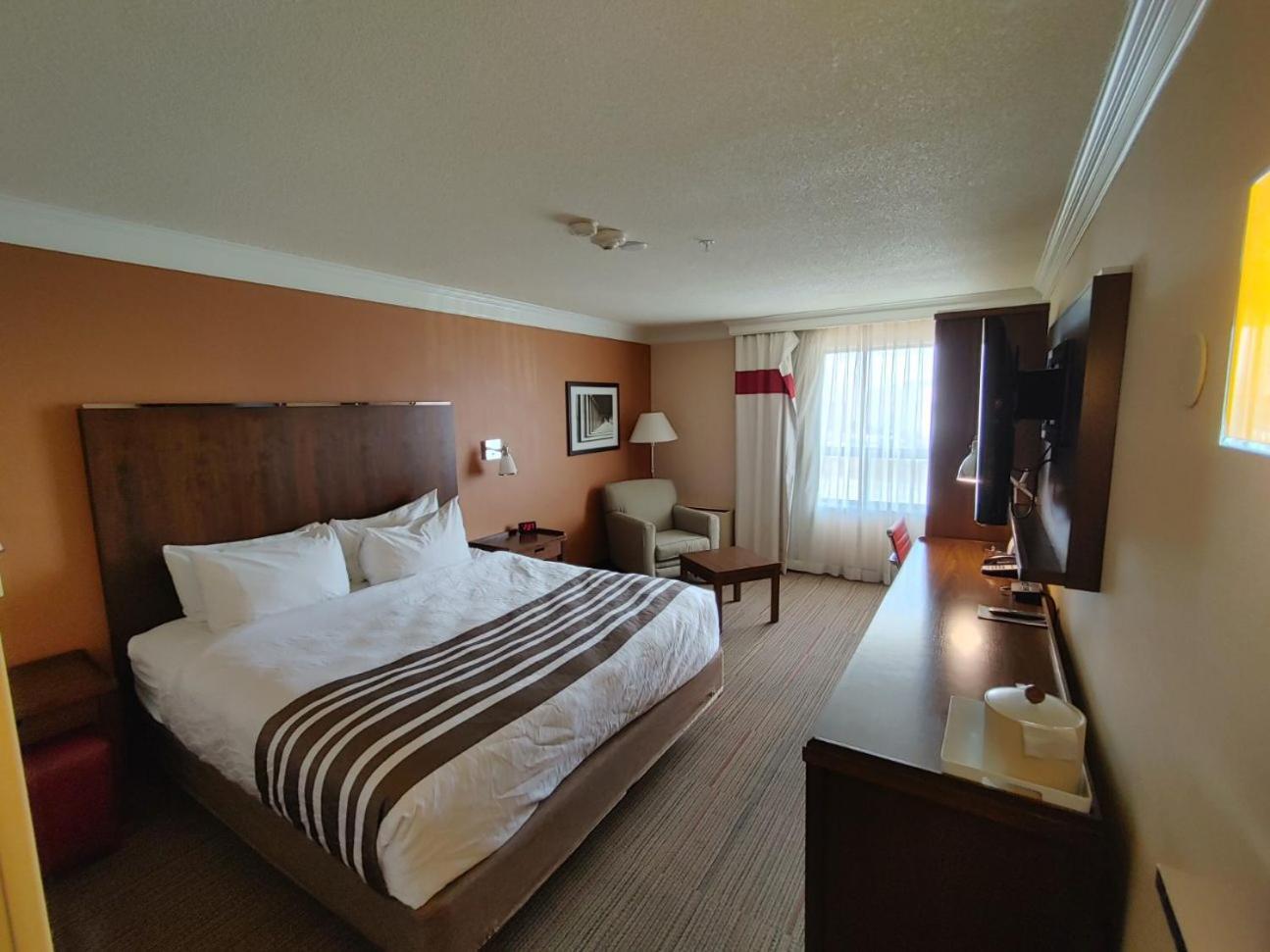 Waterloo Suites Hotel, Trademark Collection By Wyndham Extérieur photo