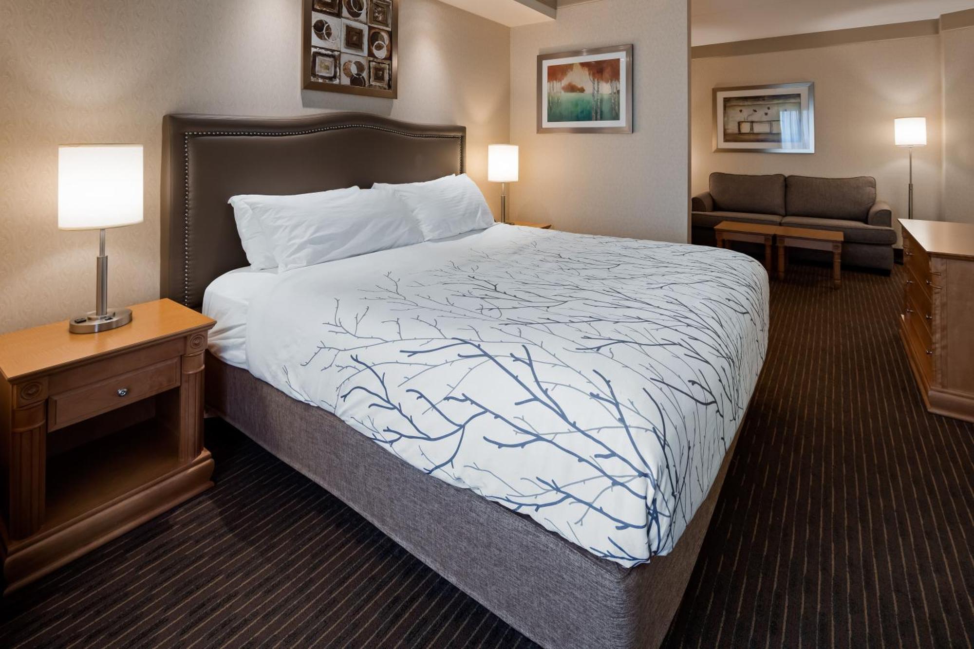 Waterloo Suites Hotel, Trademark Collection By Wyndham Extérieur photo